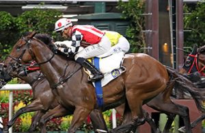 17/9/2023 沙田泥草日馬心水推介 勁哥