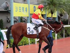 「加州星球」孭135磅輕鬆捧走沙田錦標(有片睇)