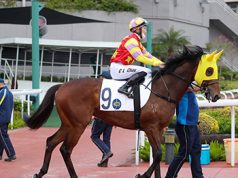 「浪漫老撾」轉倉即贏兼幫巫偉傑贏得季內第一W(有片睇)