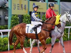 告東尼劍指沙田錦標 呂健威撈到風生水起 勁哥