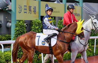 告東尼劍指沙田錦標 呂健威撈到風生水起 勁哥