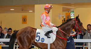 15/11/2023 快活谷夜賽心水推介 勁哥