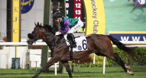 26/11/2023 沙田其士盃賽馬日心水推介 勁哥