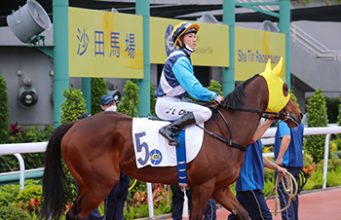 20/12/2023 快活谷夜賽心水推介 勁哥