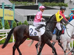 26/12/2023 沙田日馬心水推介 勁哥