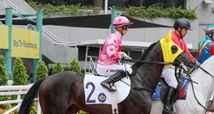 26/12/2023 沙田日馬心水推介 勁哥