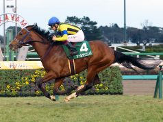 24/12/2023 日本有馬紀念賽日心水推介 勁哥