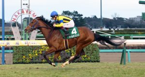 24/12/2023 日本有馬紀念賽日心水推介 勁哥