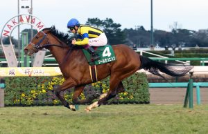 24/12/2023 日本有馬紀念賽日心水推介 勁哥