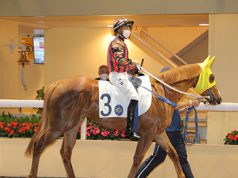 4/1/2024 快活谷夜賽心水推介 勁哥