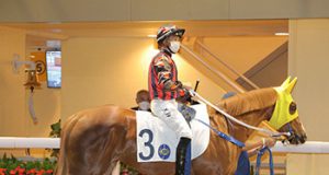 4/1/2024 快活谷夜賽心水推介 勁哥