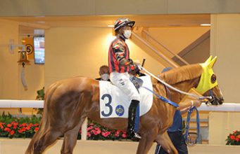 4/1/2024 快活谷夜賽心水推介 勁哥
