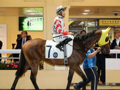 1/1/2024 沙田日馬心水推介 勁哥