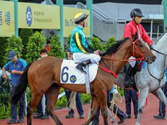 17/1/2024 快活谷夜賽心水推介 勁哥