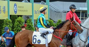 17/1/2024 快活谷夜賽心水推介 勁哥