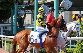 20/3/2024 快活谷九場夜馬心水推介 勁哥