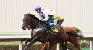 馬王「金鎗六十」試閘得第三(有片睇) 何澤堯表示:滿意