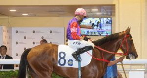 8/5/2024 快活谷夜馬心水推介 勁哥