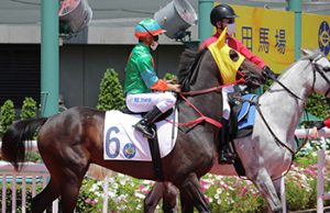 29/5/2024 沙田全泥夜賽心水推介 勁哥