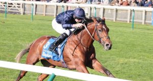 4/5/2024 英國二千堅尼賽馬日心水推介 勁哥