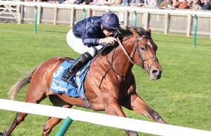 4/5/2024 英國二千堅尼賽馬日心水推介 勁哥