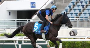 世界長途王「桀驁之戀」輕鬆攻下遮打盃(有片睇)