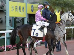 26/6/2024 快活谷夜馬心水推介 勁哥