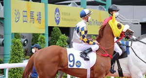 15/6/2024 沙田十一場黃昏馬心水推介 勁哥