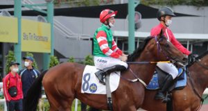 1/7/2024 香港回歸日心水推介 勁哥