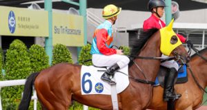 2/6/2024 沙田黃昏賽心水推介 勁哥