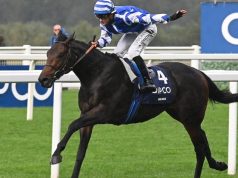 18/6/2024 女皇安妮錦標賽馬日心水推介 勁哥