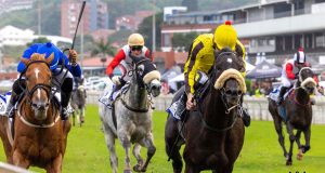 28/7/2024 南非冠軍盃賽馬日心水推介 勁哥