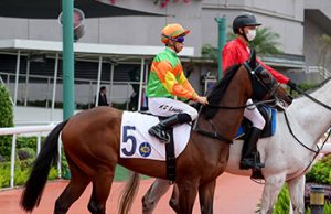 4/7/2024 快活谷夜賽心水推介勁哥