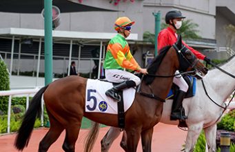 4/7/2024 快活谷夜賽心水推介勁哥