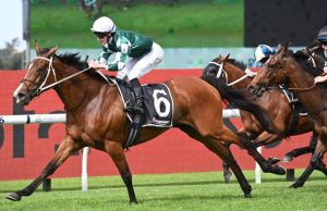 14/9/2024 戴花錦標賽馬日心水推介 勁哥