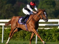 15/9/2024 愛爾蘭聖烈治大賽賽馬日心水推介 勁哥