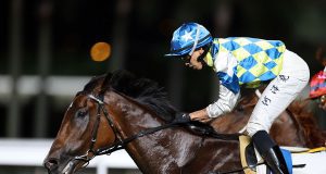 「錶之銀河」以無敵姿態勝出二級賽沙田錦標(有片睇)