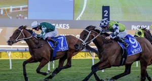 「精緻之道」覺士盾贏一條街(有片睇)