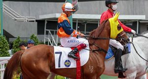 12/1/2025 沙田日馬心水推介 勁哥