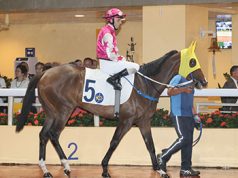 23/2/2025 沙田日馬心水推介 勁哥