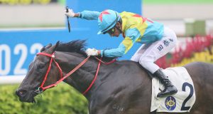 19/10/2025 沙田錦標賽馬日心水推介 勁哥