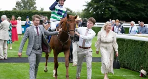 11-10-2025 杜何斯特錦標賽馬日心水推介 勁哥