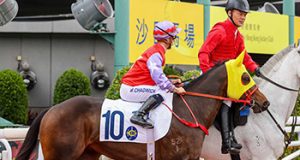 12-10-2025 沙田日賽心水推介 勁哥