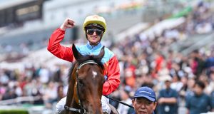 18/10/2025 珠穆朗瑪峰錦標及考菲爾德盃賽馬日心水推介 勁哥