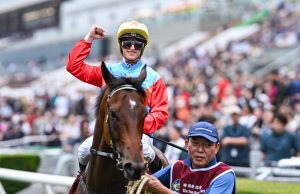 18/10/2025 珠穆朗瑪峰錦標及考菲爾德盃賽馬日心水推介 勁哥