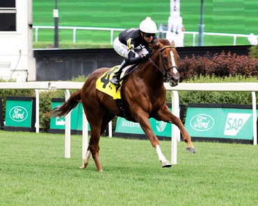21/8/2026楠索普錦標賽馬日心水推介 勁哥